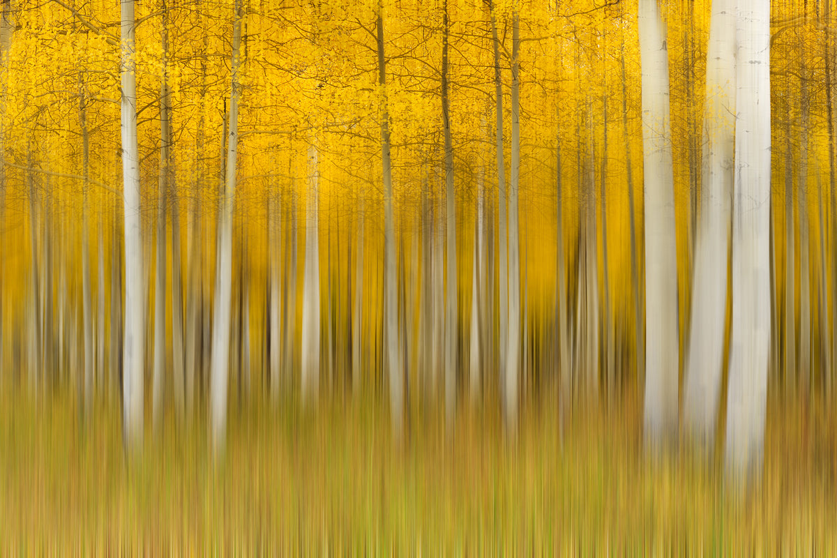 3-piece-acrylic-print-autumn-dream-ii
