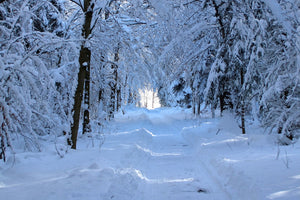 3-piece-acrylic-print-finally-winter