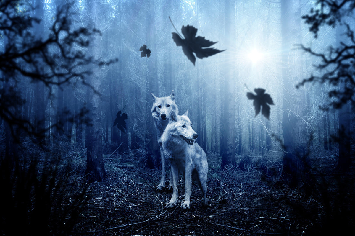 framedposter-print-wolf39s-couple