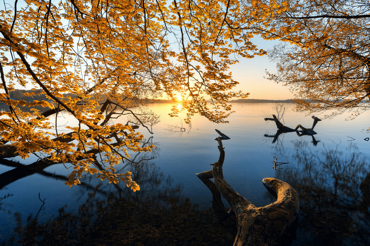 aluminium-print-autumn-morning-xoq