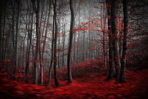 canvas-print-bloody-river-x