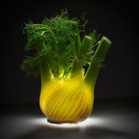 9-piece-canvas-print-fennel