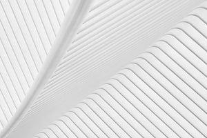 framedcanvas-print-canopy