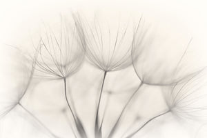 framedcanvas-print-no-title