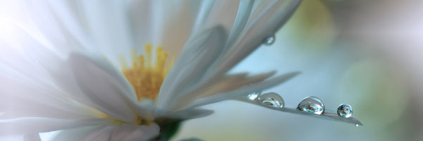 panoramic-acrylic-print-light-touch-panorama
