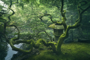 poster-print-japanese-tree-x