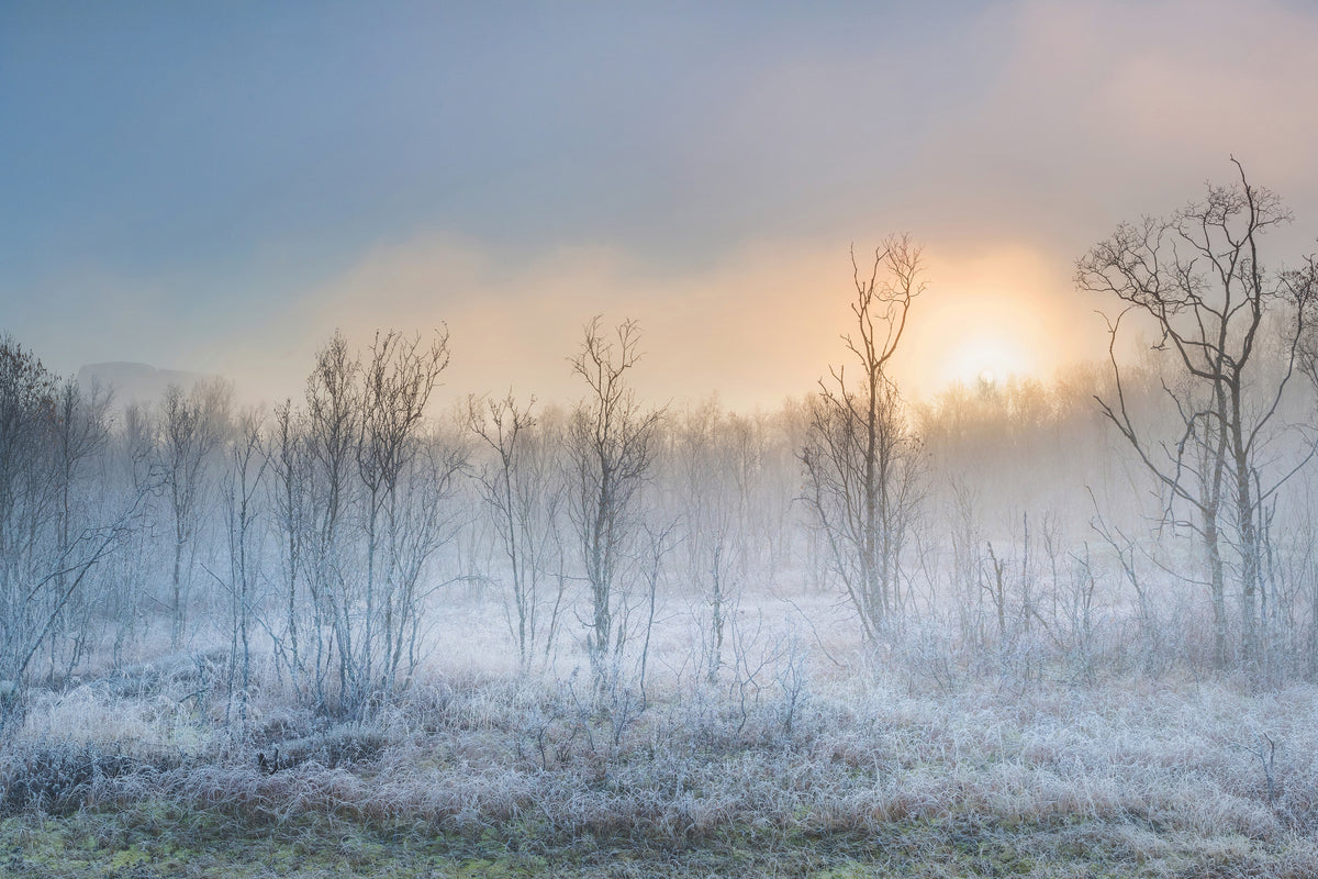 modern-3-piece-acrylic-print-a-touch-of-winter