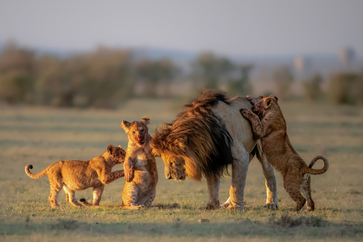 canvas-print-dad-and-kids-x