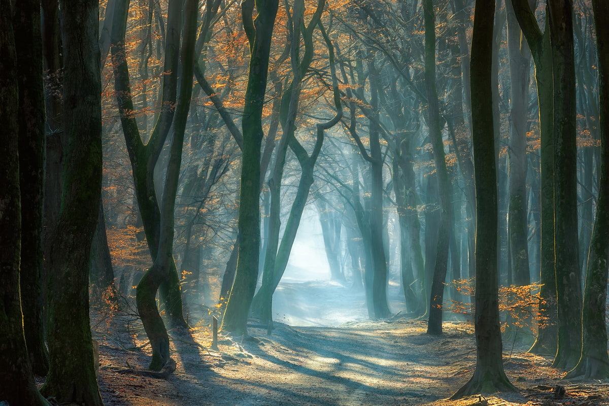 aluminium-print-cold-light-x