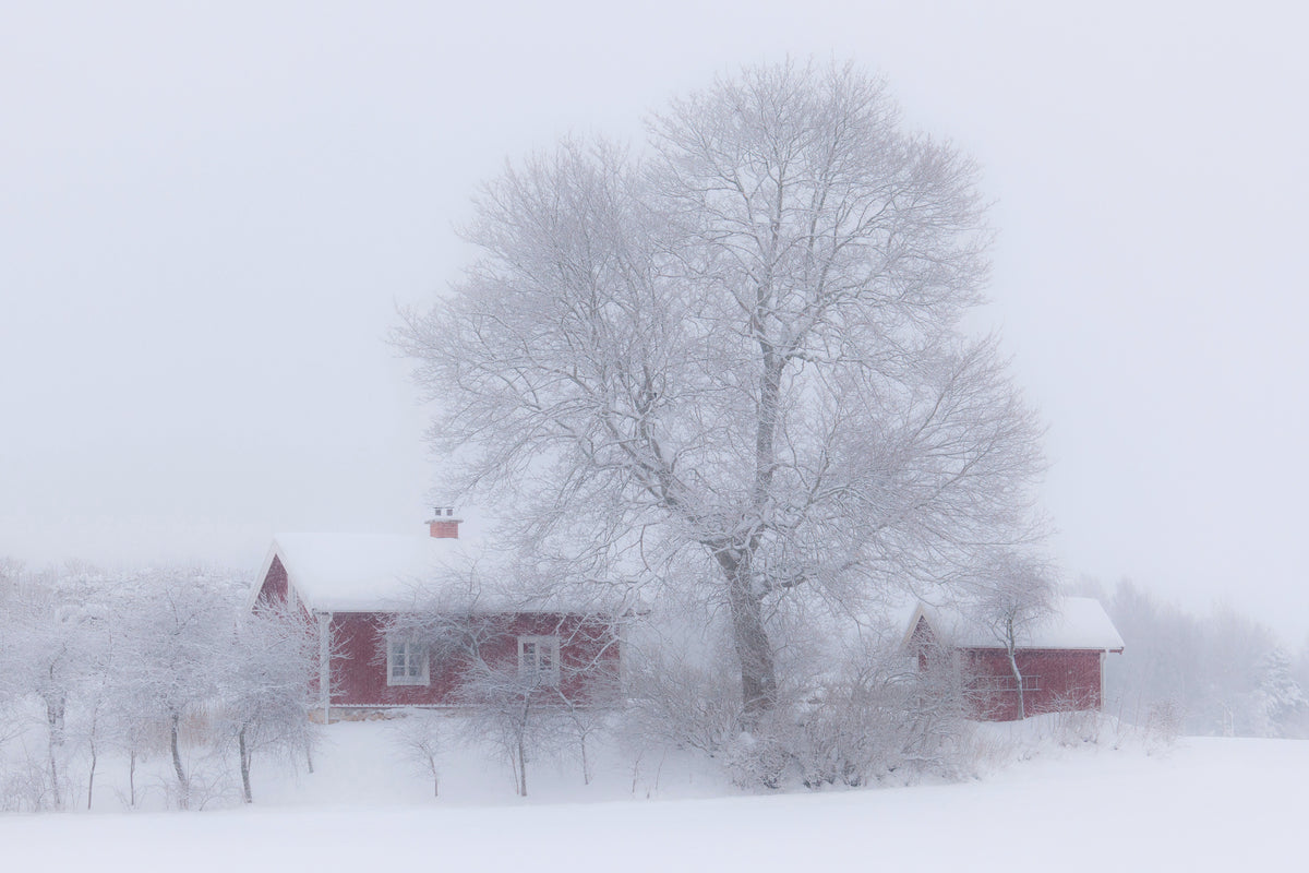 aluminium-print-winter-idyll-x