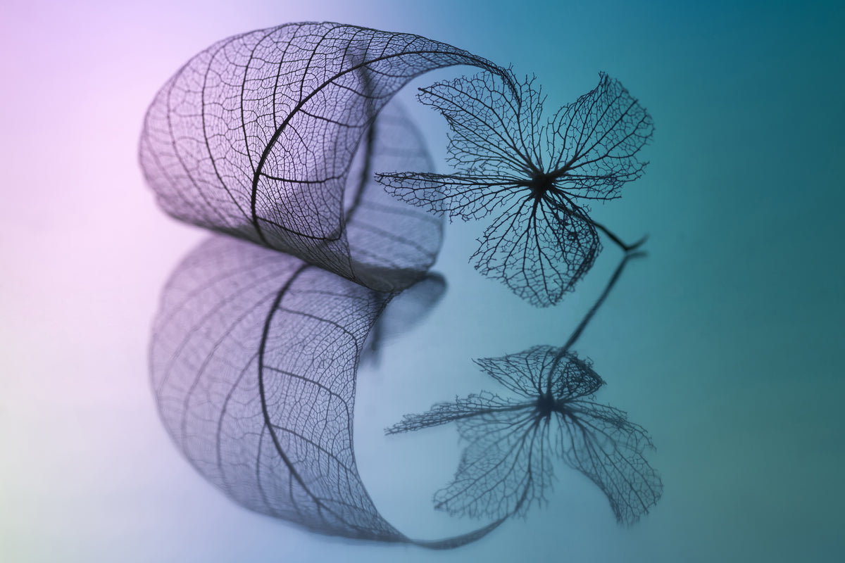 modern-3-piece-canvas-print-story-of-leaf-and-flower