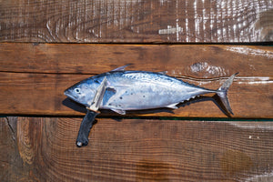 acrylic-print-the-fresh-fish