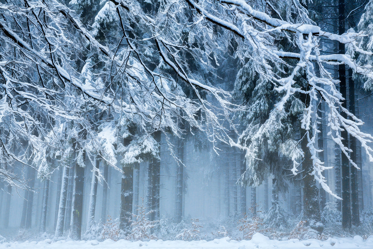 acrylic-print-snowworld-x