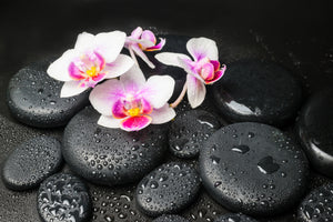 modern-3-piece-canvas-print-feng-shui-orchid-zen