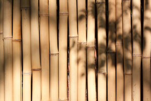 aluminium-print-natural-bamboo