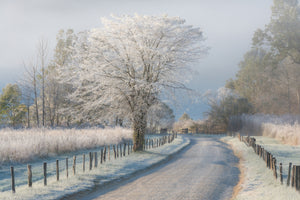 aluminium-print-a-frosty-morning