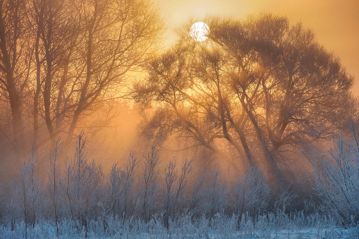 aluminium-print-warm-and-cold-x