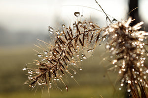 3-piece-acrylic-print-drops-of-nature