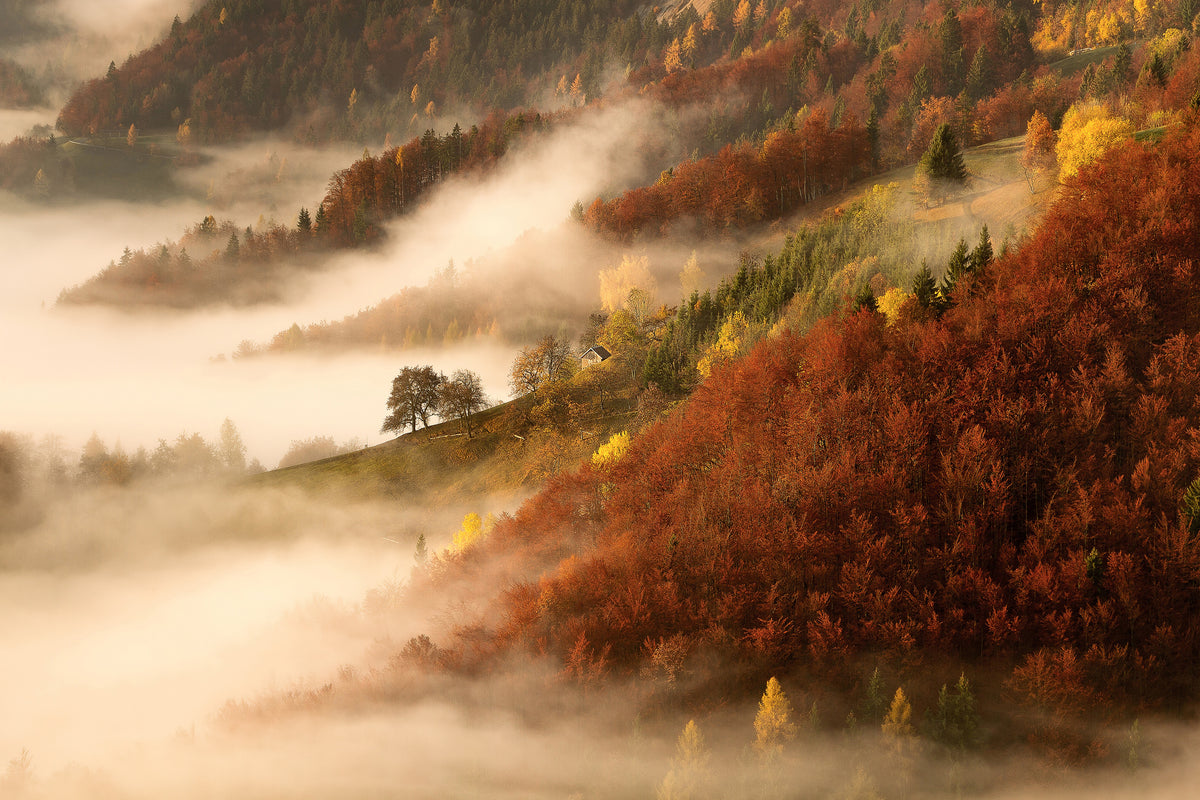 framedposter-print-novembers-fog-x