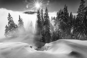 canvas-print-a-winter-tale