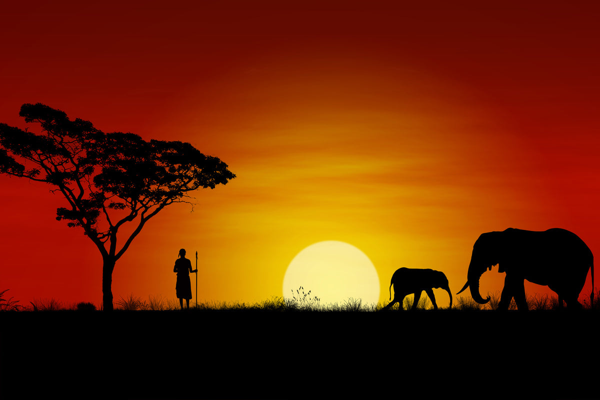 aluminium-print-african-steppe-elephant