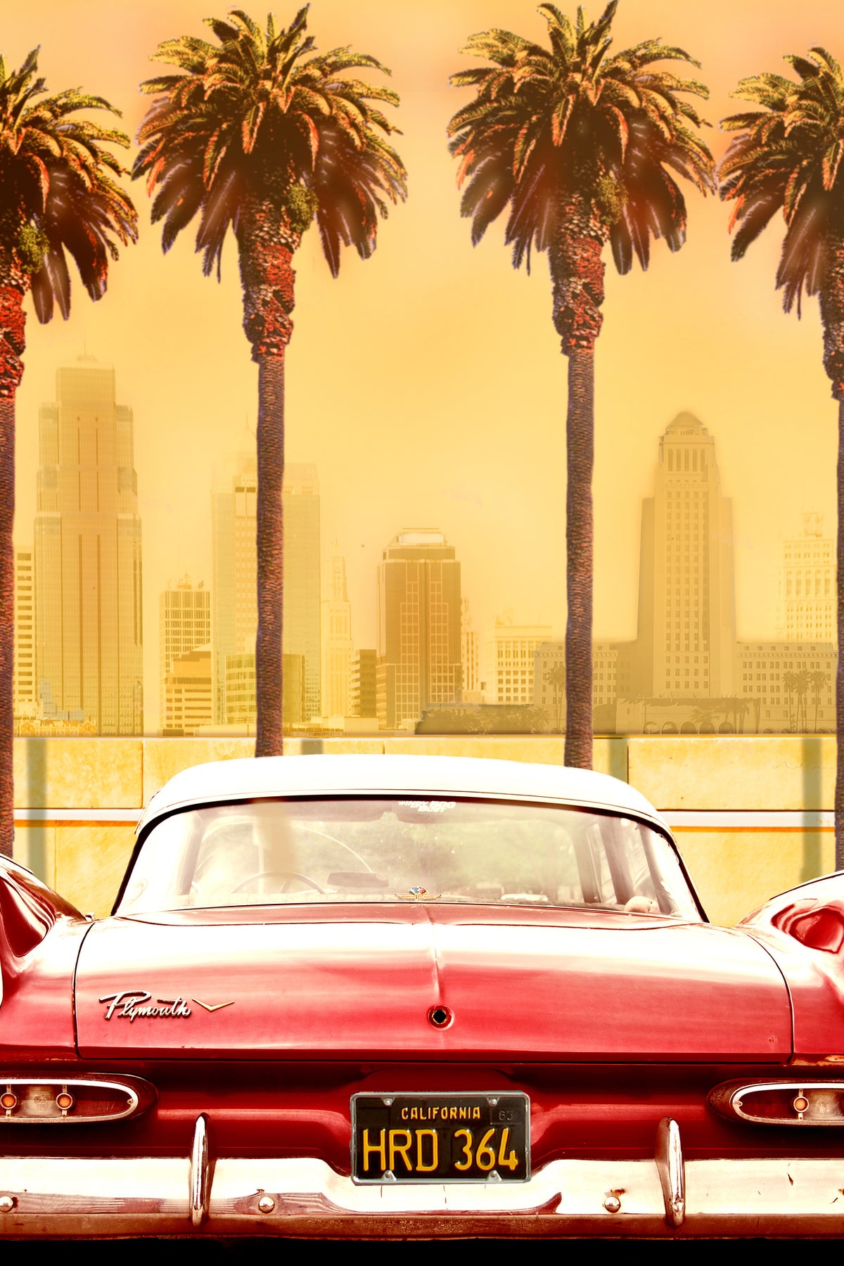 canvas-print-plymouth-savoy-with-palms