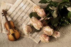 aluminium-print-the-violin