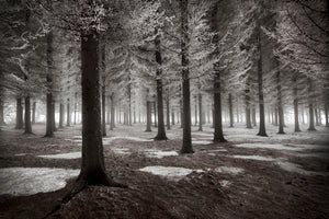 modern-3-piece-aluminium-print-the-onset-of-winter