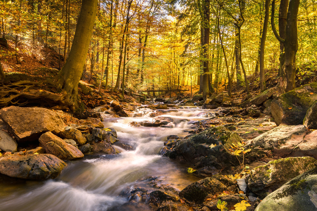 acrylic-print-real-nature-beauty