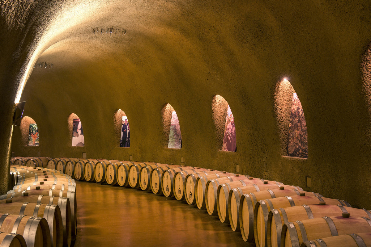 canvas-print-in-the-wine-cellar