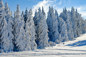 3-piece-aluminium-print-beautiful-winter-landscape