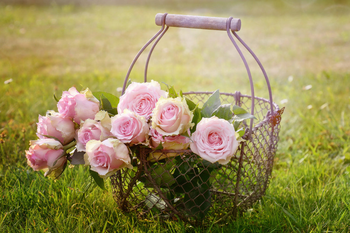 framedcanvas-print-a-basket-full-of-roses