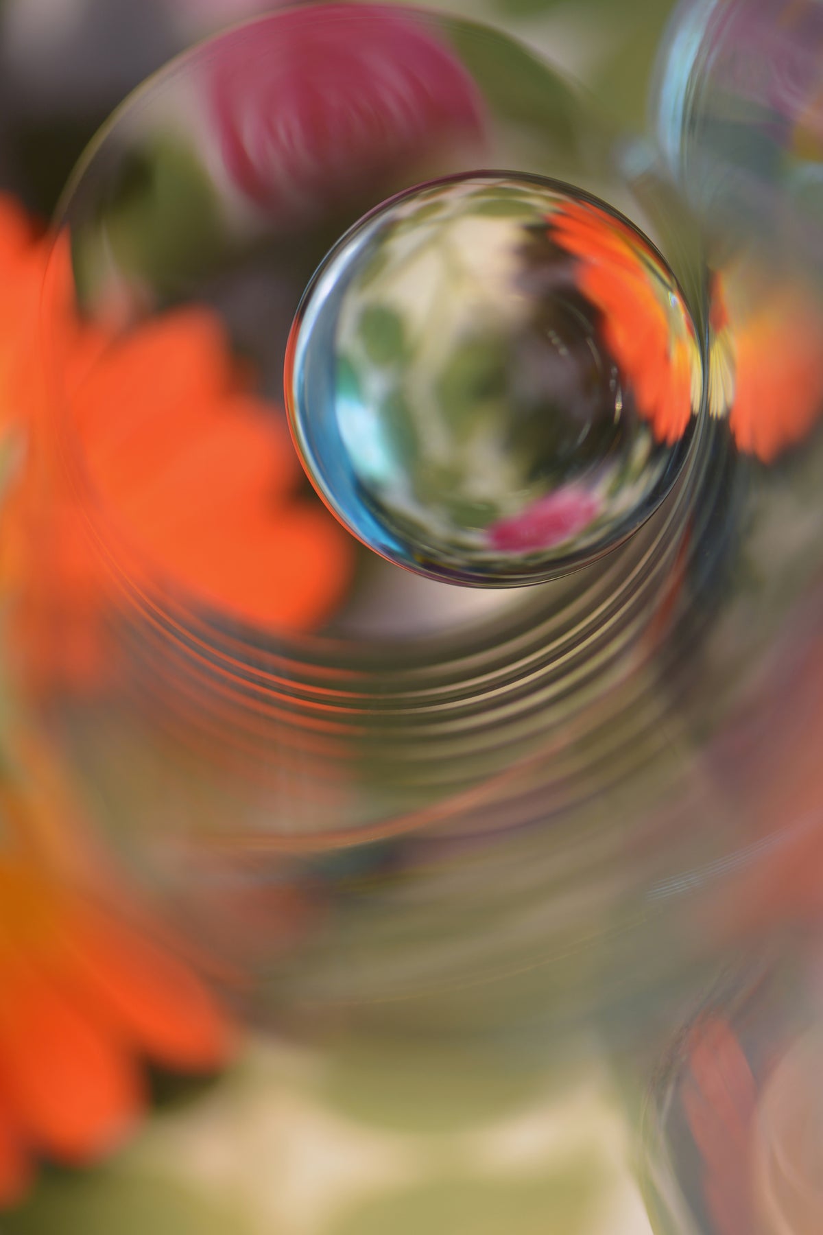 framedposter-print-floral-sphere