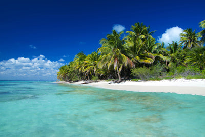 poster-print-the-dream-island