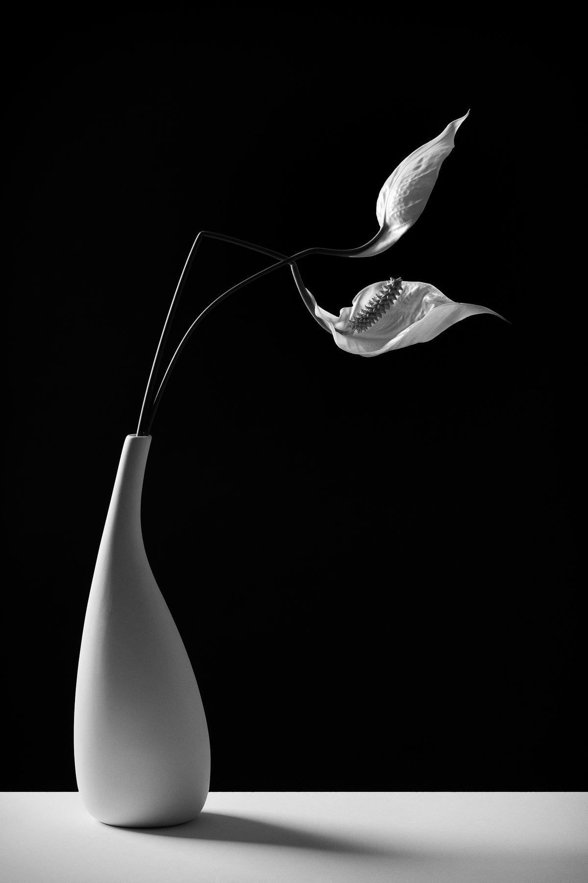 aluminium-print-passionately-x