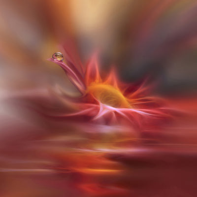 poster-print-song-of-my-soul