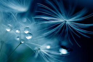 acrylic-print-soft-touch-x