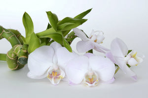 3-piece-acrylic-print-orchid-and-bamboo