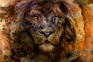 acrylic-print-portrait-of-a-lion-ii