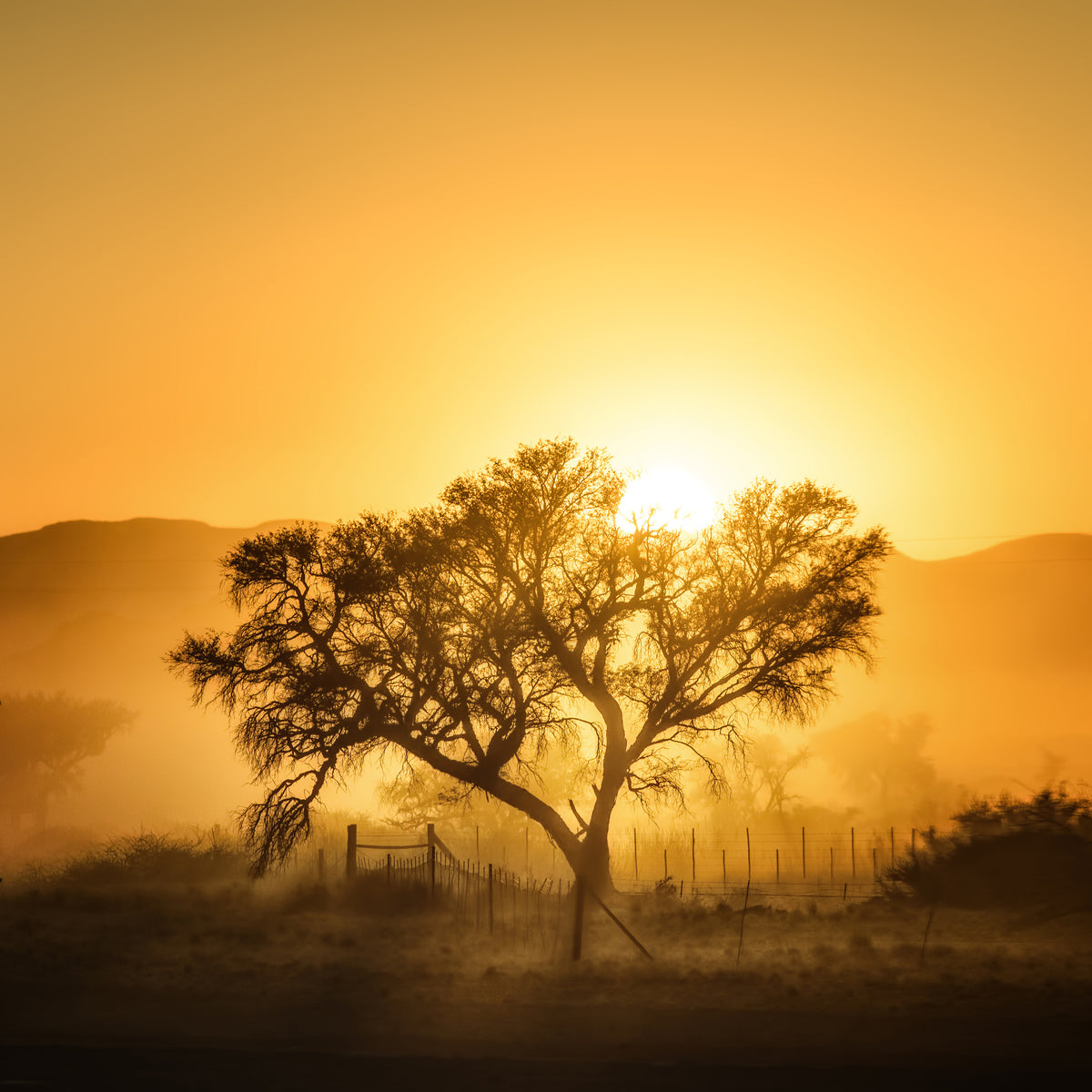 9-piece-aluminium-print-golden-sunrise