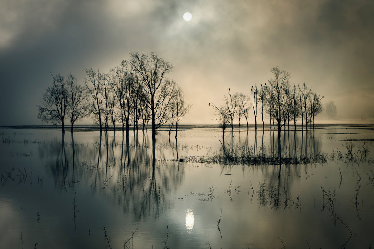 modern-3-piece-acrylic-print-lakes-secret