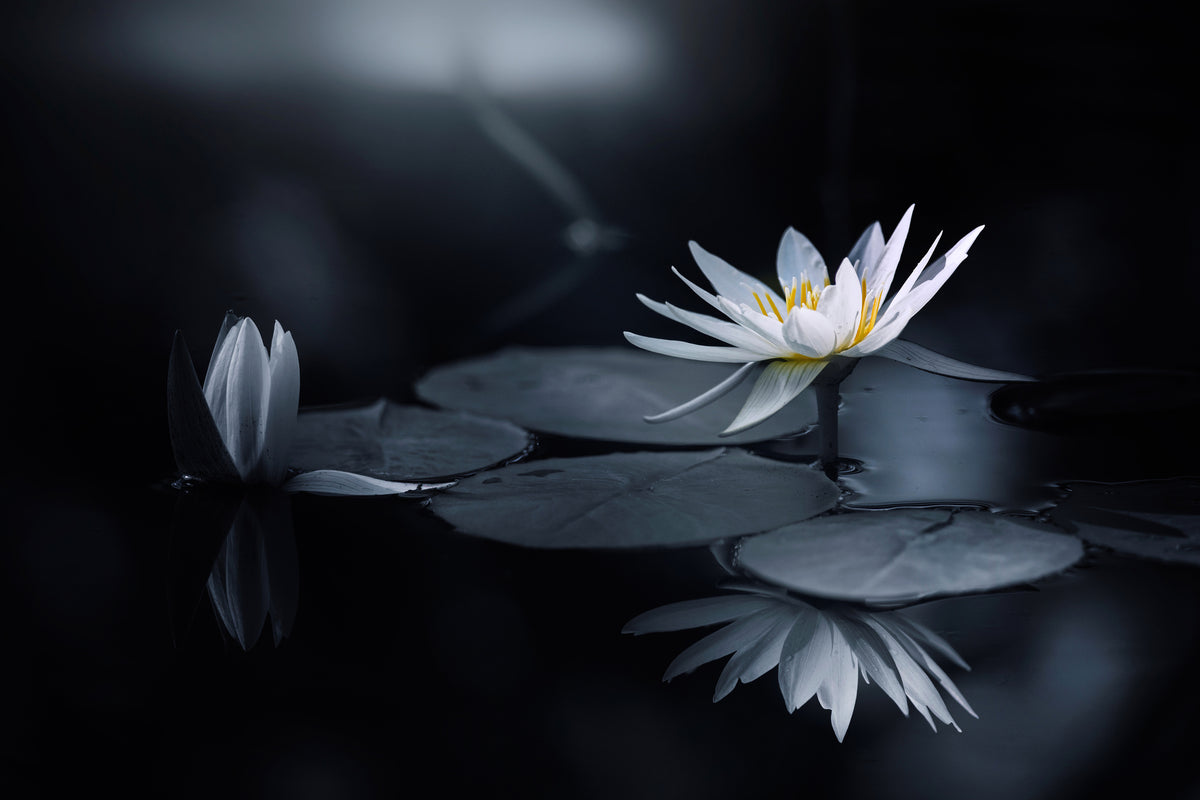 poster-print-reflection-iv