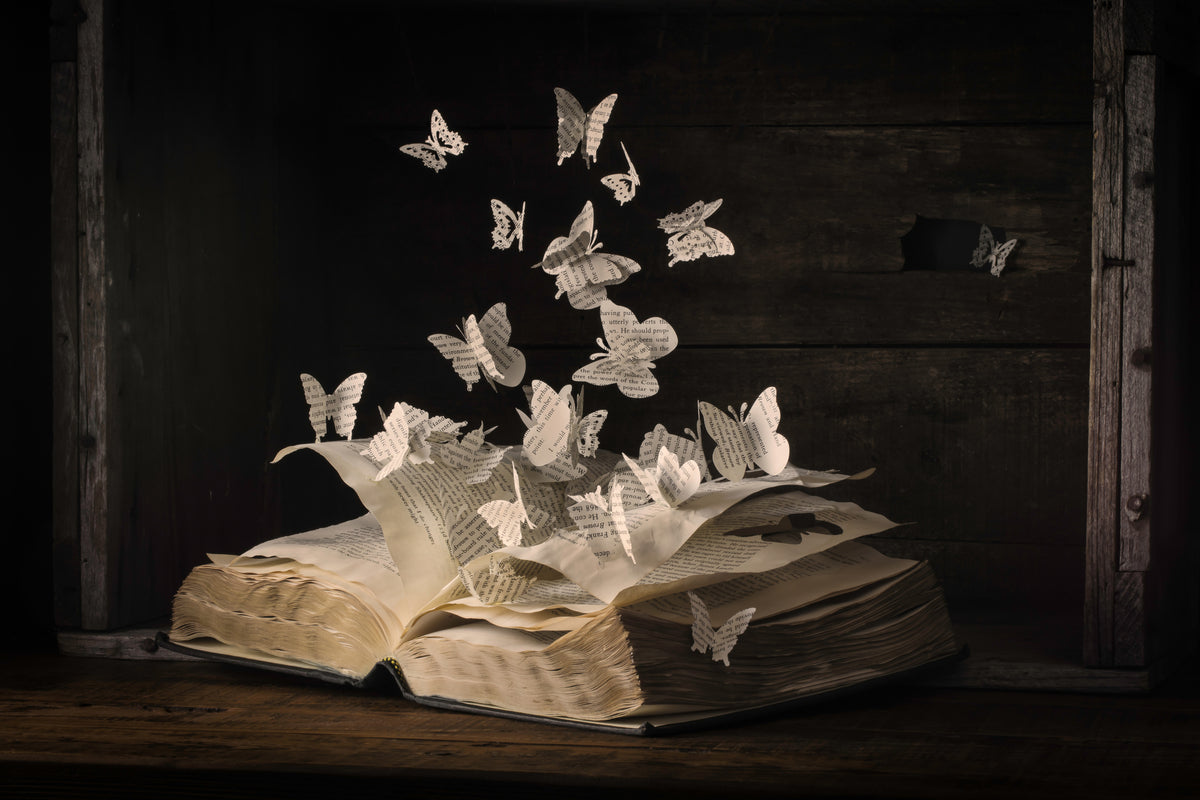 aluminium-print-lepidopterology