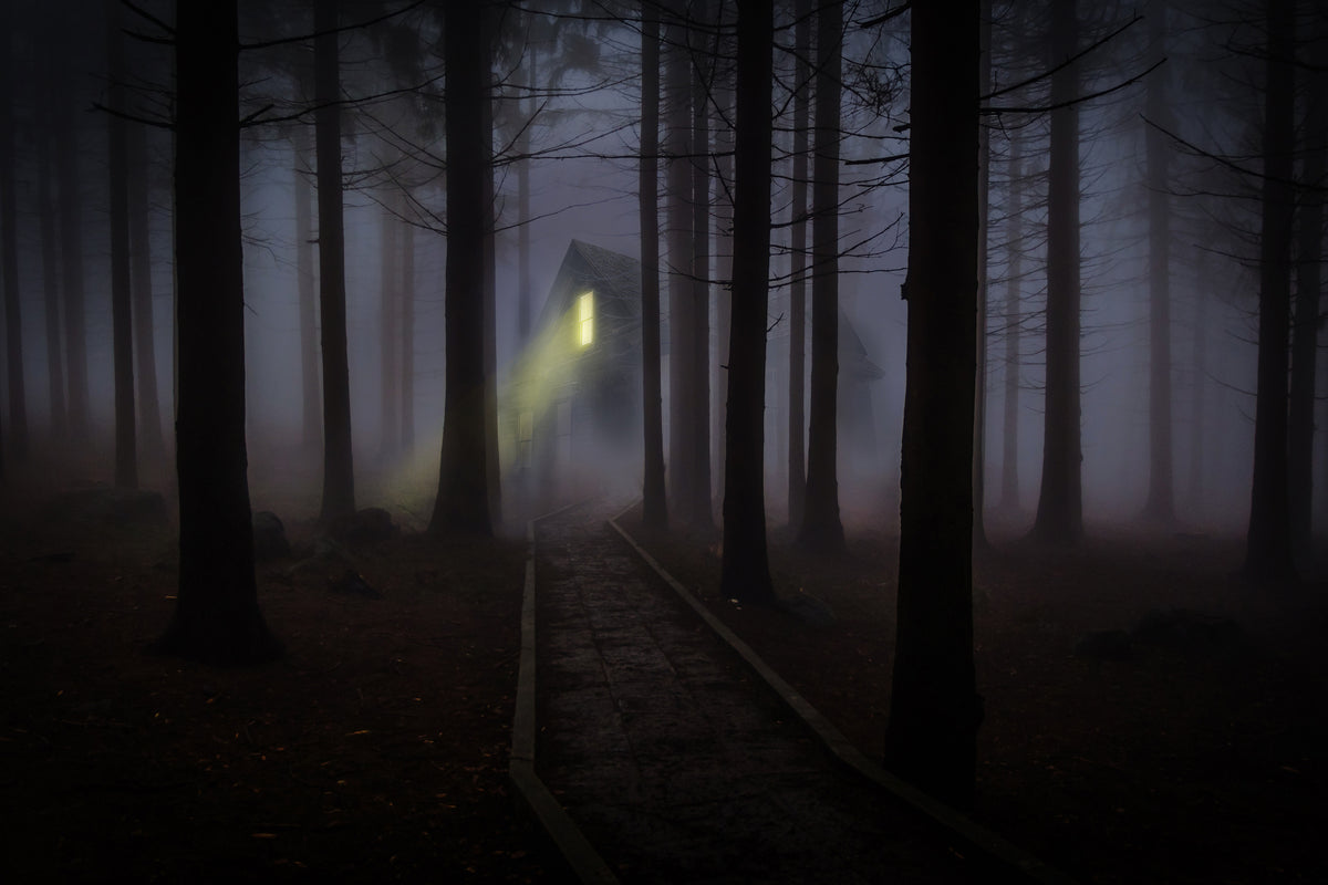 modern-3-piece-aluminium-print-fog-in-the-forest