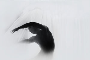 poster-print-the-dance-of-silence