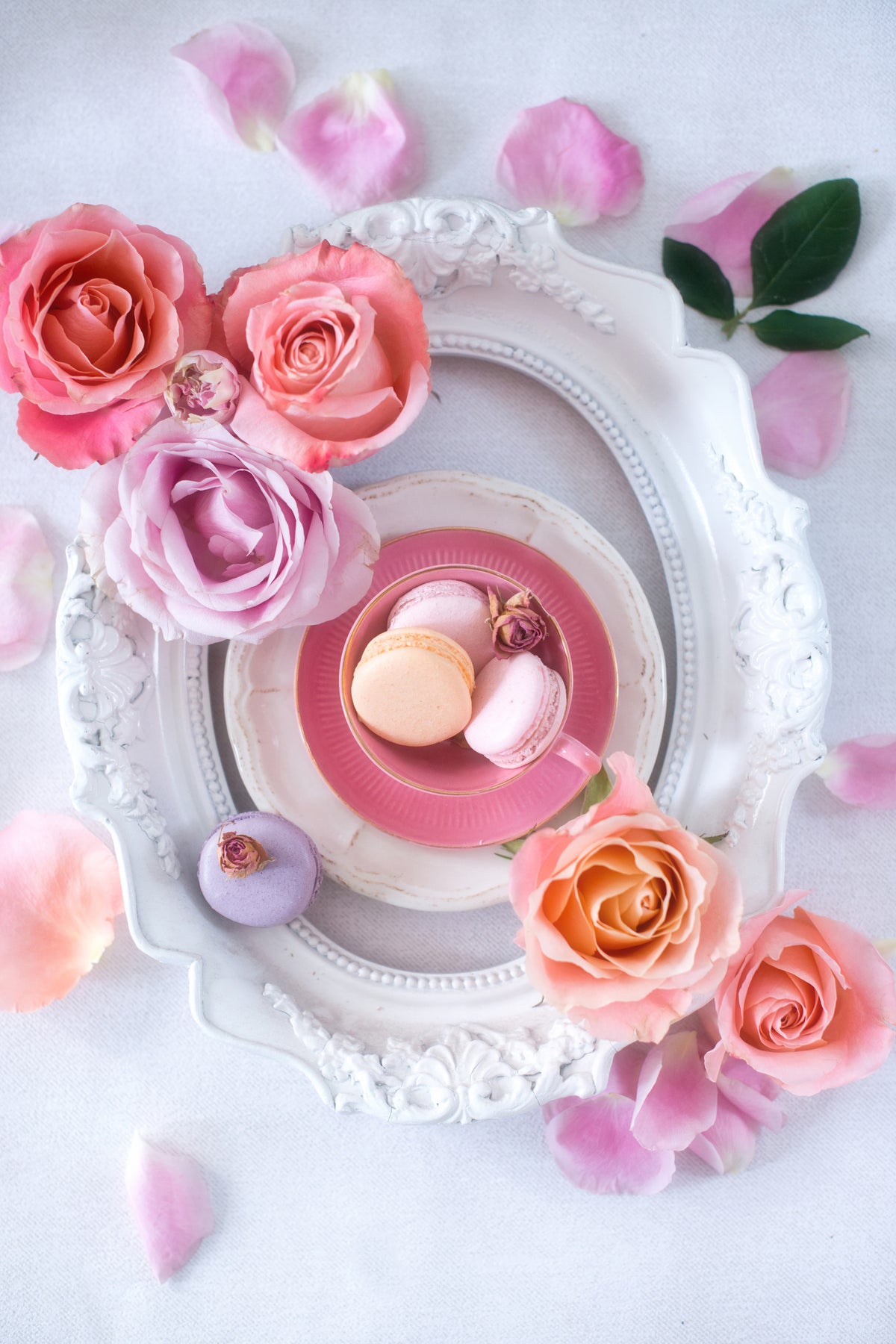 framedposter-print-pink-romance