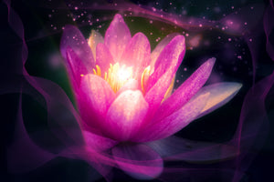 framedcanvas-print-lily-in-the-light-play