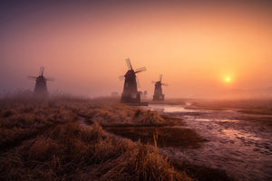 canvas-print-foggy-morning-xji