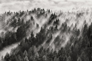 canvas-print-sundance-no-i