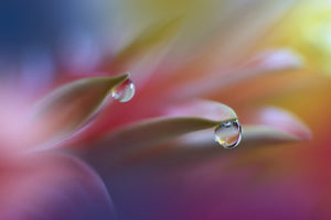 canvas-print-sound-of-colors-x